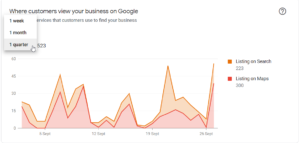 Google My Business Insights Report